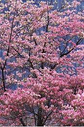 《城市：天际线2》开发者：从社区反馈中学到了很多